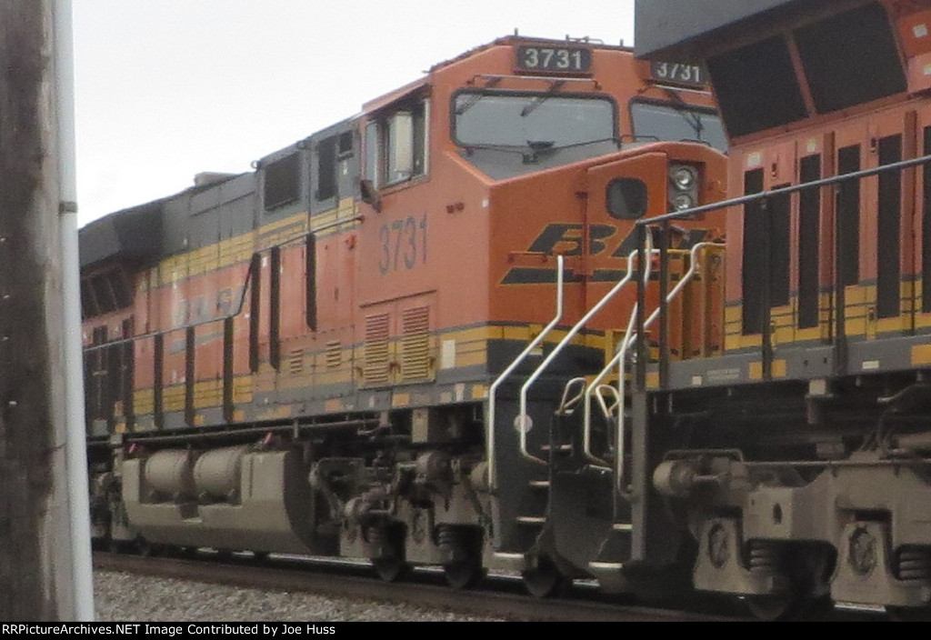 BNSF 3731